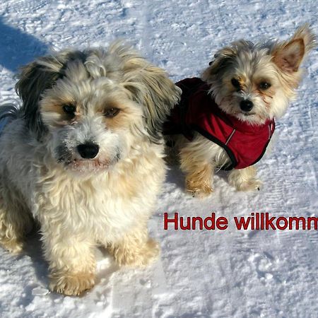 Fewo C1 für bis zu 5 Personen Menzenschwand-Hinterdorf Exterior foto