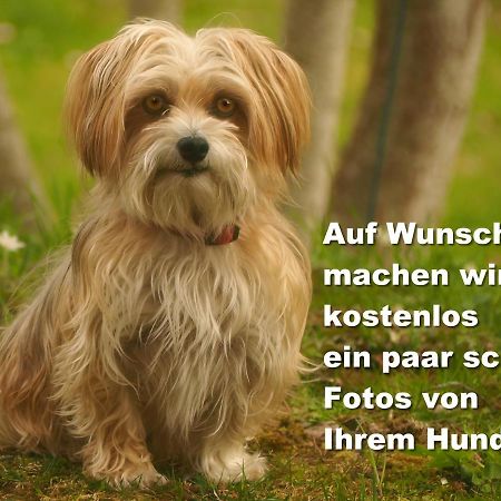 Fewo C1 für bis zu 5 Personen Menzenschwand-Hinterdorf Exterior foto