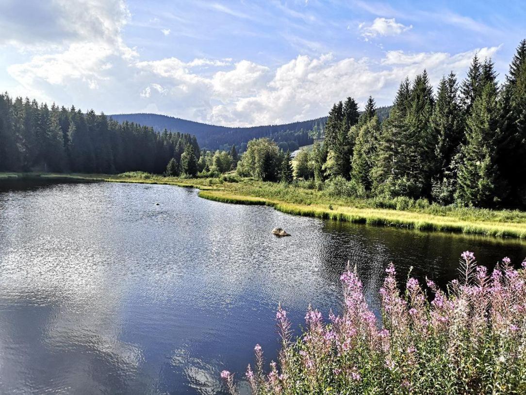 Fewo C1 für bis zu 5 Personen Menzenschwand-Hinterdorf Exterior foto