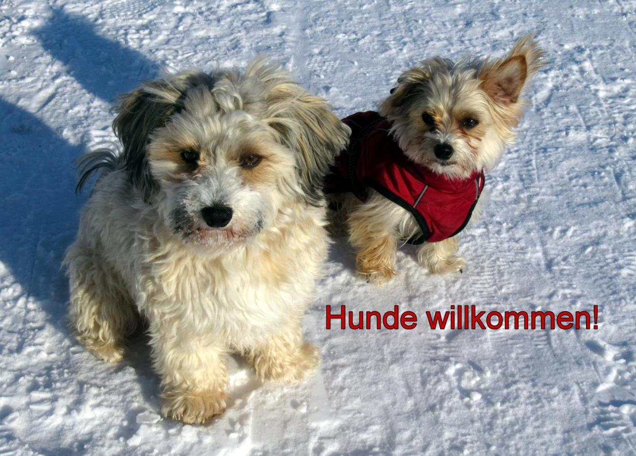 Fewo C1 für bis zu 5 Personen Menzenschwand-Hinterdorf Exterior foto