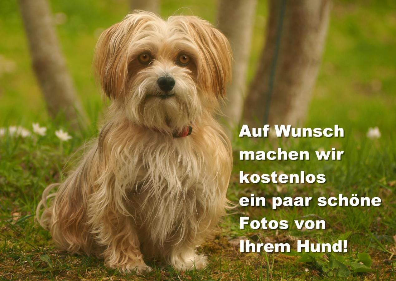Fewo C1 für bis zu 5 Personen Menzenschwand-Hinterdorf Exterior foto