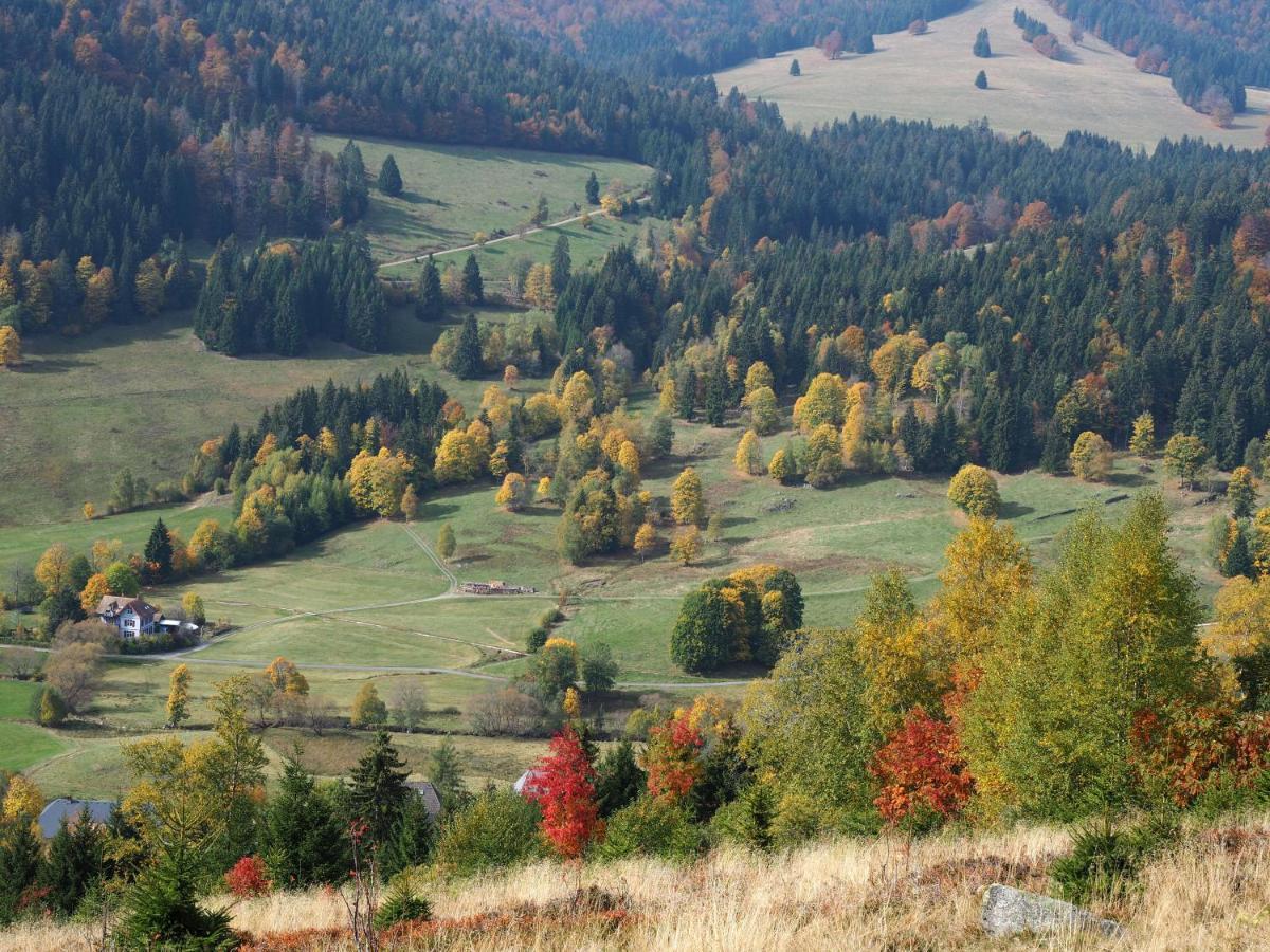 Fewo C1 für bis zu 5 Personen Menzenschwand-Hinterdorf Exterior foto